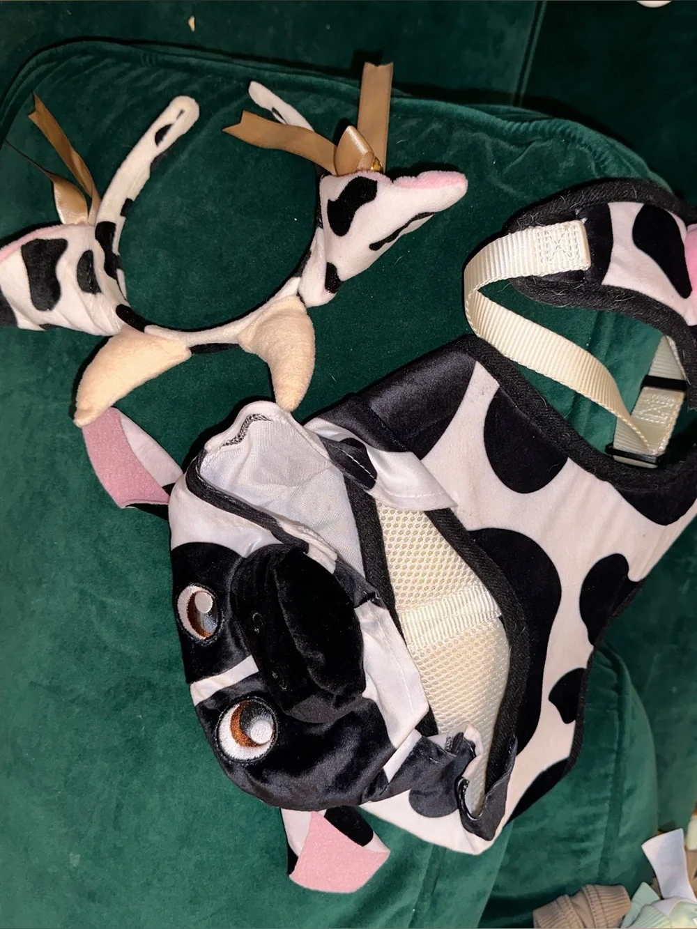 Dog Cow Halloween Costume Utters Cow Ear Headband with Bells and Bows Onsie